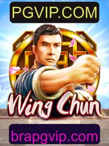 Descubra o Fascinante Mundo de WingChun: Regras e Introdução